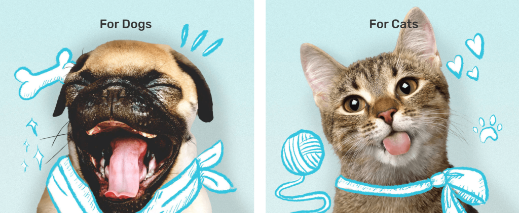 Appstle | Kibbles Enhances Customer Retention and Increases Revenue with Appstle Appstle | Kibbles Enhances Customer Retention and Increases Revenue with Appstle