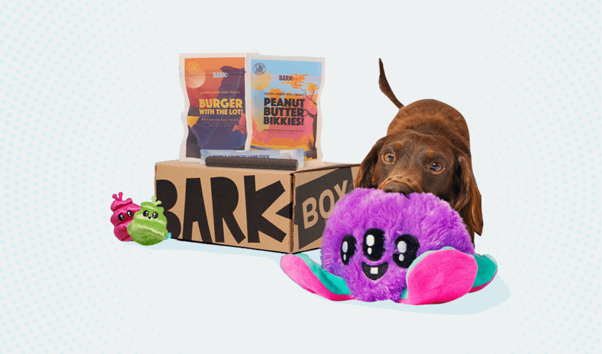 BarkBox Subscription Model Strategy Breakdown | Appstle