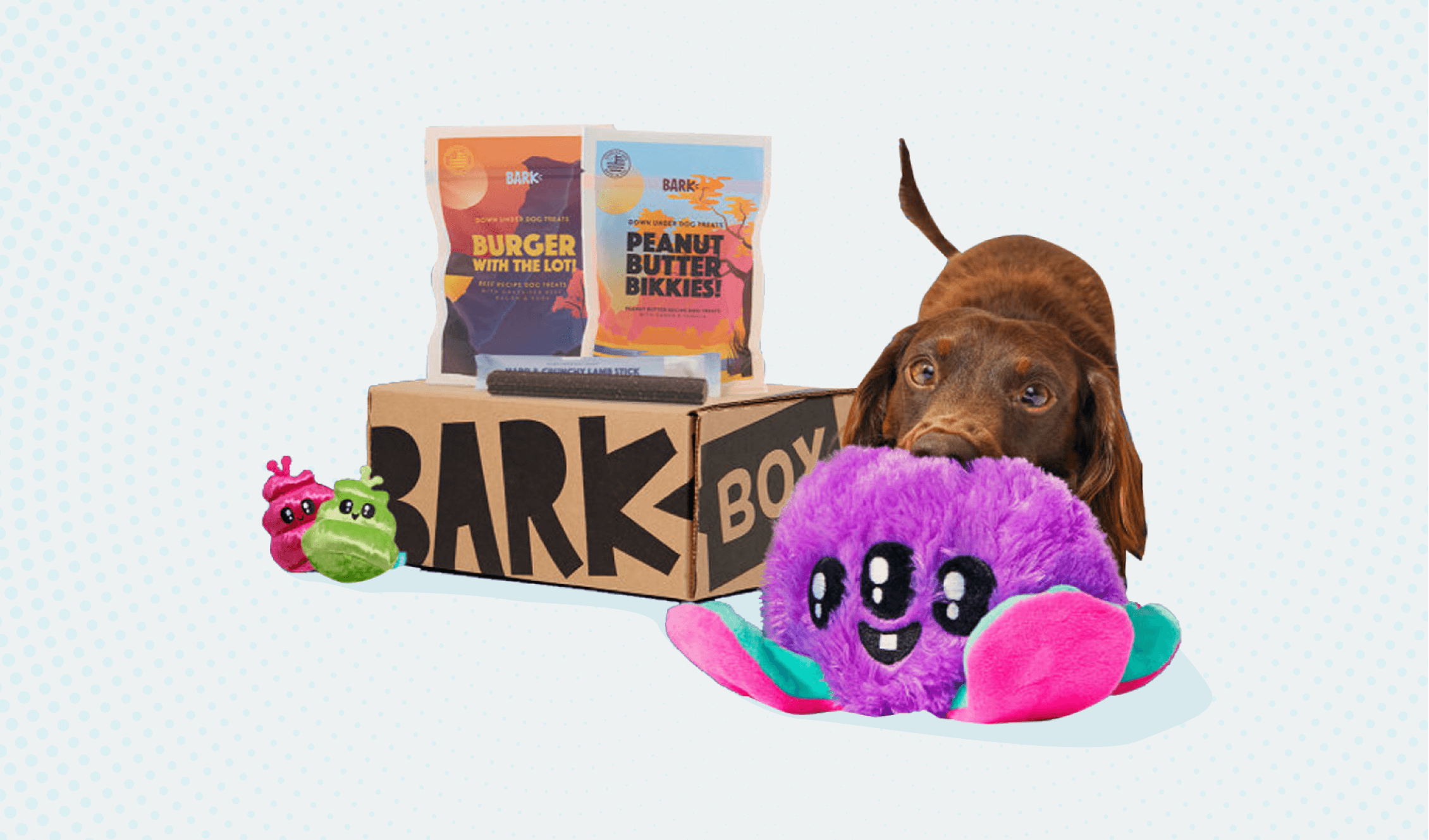 BarkBox - The Monthly Dog Toy and Treat Box