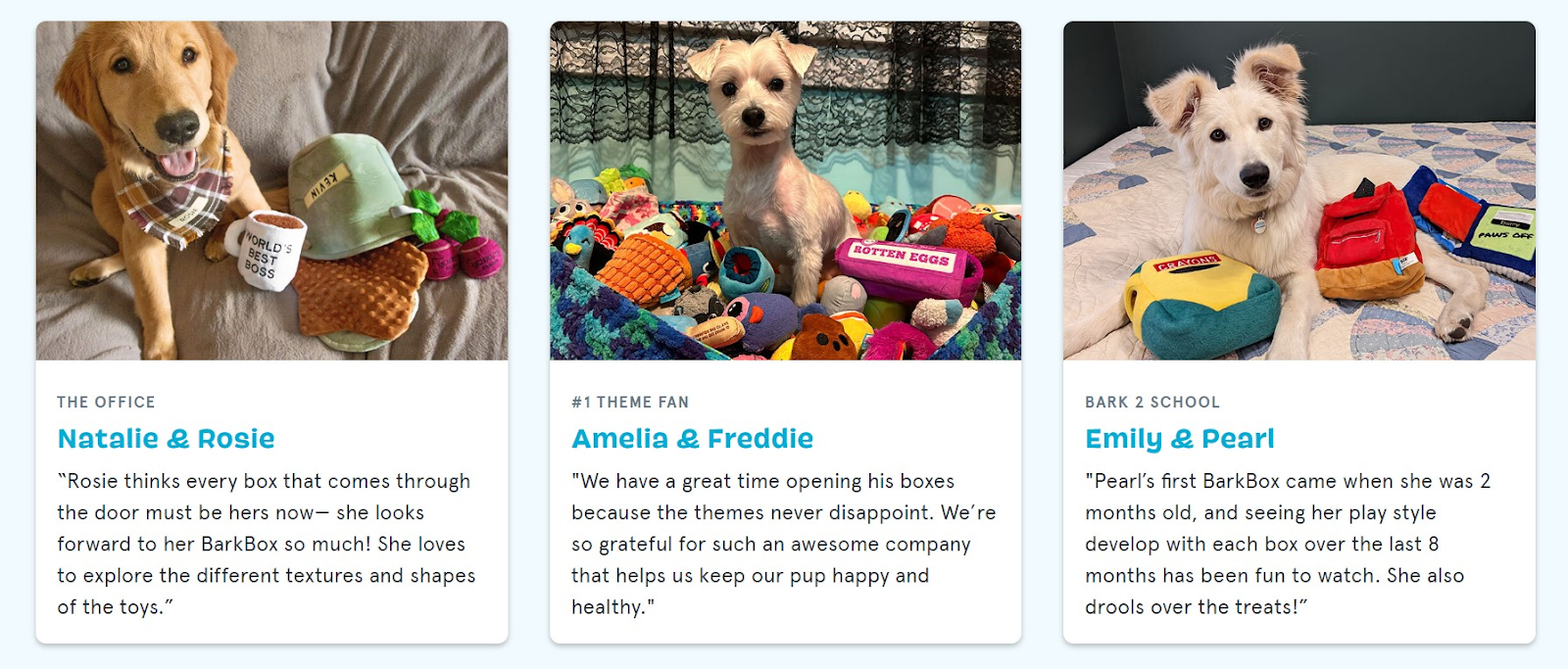 Barkbox Subscription Model Strategy Breakdown Appstle
