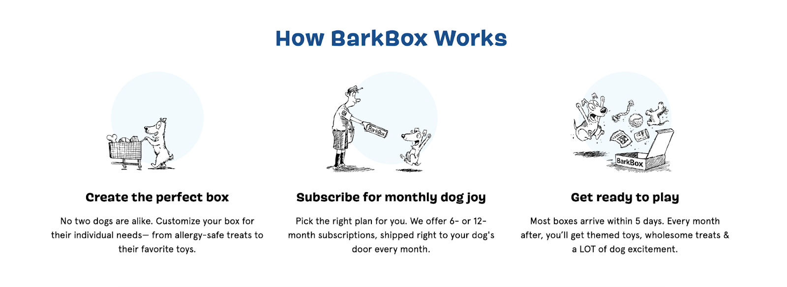 Barkbox Subscription Model Strategy Breakdown Appstle