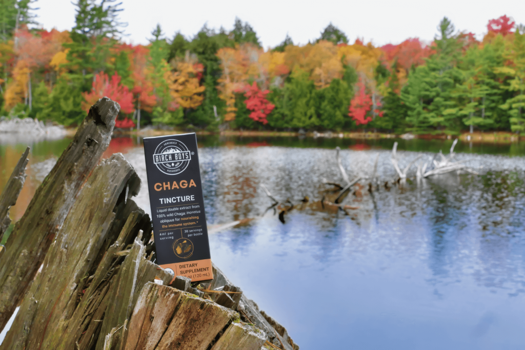 Appstle | Birch Boys Enhances Customer Retention, Purchase Journey, and Operational Efficiency with Appstle Subscriptions Appstle | Birch Boys Enhances Customer Retention, Purchase Journey, and Operational Efficiency with Appstle Subscriptions